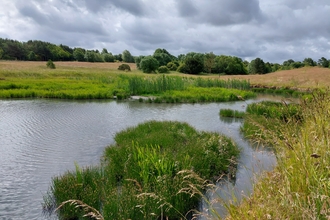 wetland and fields