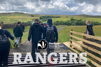 Rangers promotional image group of young people crossing cattle grid into nature reserve