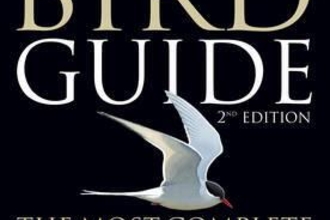 collins bird guide book front cover
