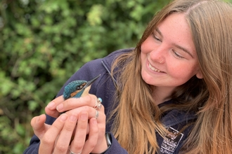 staff member holding kingfisher during bird ringing