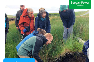 group of people surveying stream area, standing in long grass