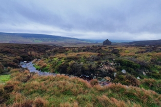 Autumnal view over moorland with stream in foreground and small barn in distance
