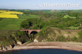 Hawthorn Dene