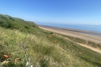 grasslands with beach and sea in distance