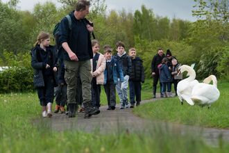 Man leading school children along path with meadows on either side and swans on edge of path