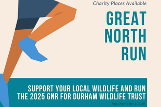 Great North Run 2025 Support your local wildlife and run the 2025 GNR for Durham Wildlife Trust