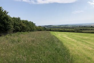 grass buffer strip and good condition hedgerow in productive grassland