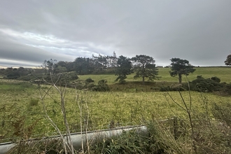 Fields with trees in distance