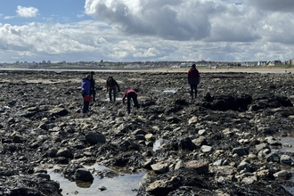 group of people surveying shoreline on rockpools with beach in distance