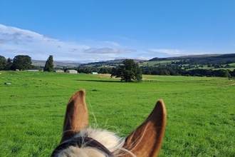 View of open countryside from horseback looking over the top of a horse's ears, with blue skies and green fields in distance