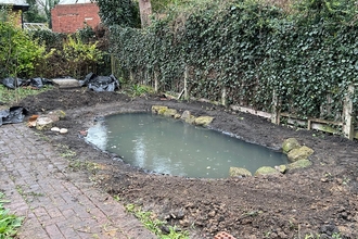A pond in a back garden with a hedge on one side
