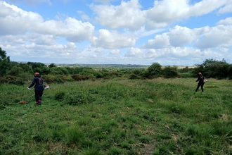 Two people with brush cutting tools in open field