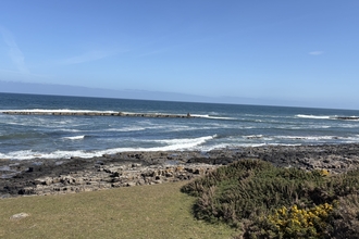 Craster beach