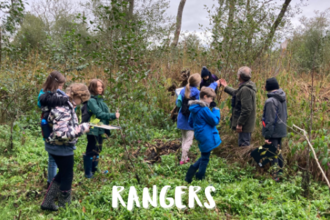 Young people in field looking at trees