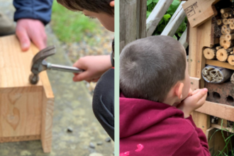 montage of photos of child building and looking at bird box and bug hotel