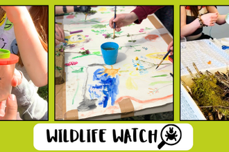 Montage of photos of children's wildlife themed activities