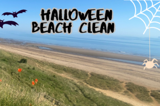 Crimdon beach