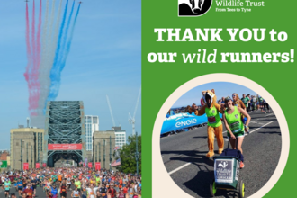 Picture of red arrows over Tyne bridge alongside a photo of wildlife trust runners pushing collection bin