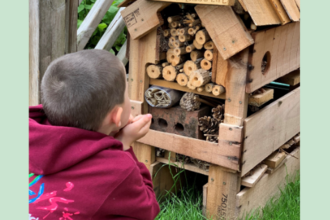 small boy looking upwards at a wooden bug hotel