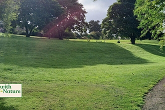 green bank with path along bottom of hill