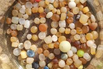 Close-up of colourful plastic pellets (nurdles) in a clear container.