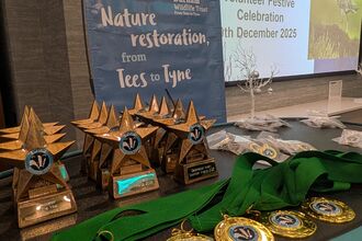 Display of gold star-shaped trophies and medals with green ribbons arranged for Durham Wildlife Trust’s 2025 volunteer celebration; engraved plaques; background banner says “Nature restoration, from Tees to Tyne.”