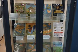 Dark blue display cabinet with glass doors showcasing ten ceramic tiles arranged on three shelves. Each tile features a nature or animal design—such as squirrel, mushrooms, owl, fish, kingfisher, duck, heron, dragonfly, and European eel—accompanied by small descriptive placards. Top tile labeled “Hetton Park Trail.” Educational exhibit promoting local wildlife, with logos from Durham County Council and Groundwork NE & Cumbria.