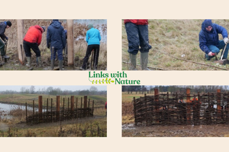 A collage of four photos showing volunteers building a woven wooden fence in a wetland area, installing upright posts and weaving branches between them. A green “Links with Nature” logo appears on the right.