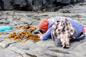 A person in a red beanie and blue hoodie lies on wet coastal rocks, photographing seaweed close-up beside tide pools.