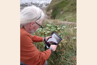 person looking through tablet device taking photo of a plant with coastal path in background