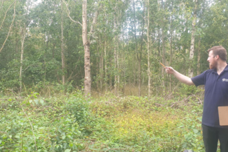  A person in a dark blue shirt stands at the edge of dense woodland, holding a clipboard and pointing toward the trees as if conducting fieldwork or an environmental survey.