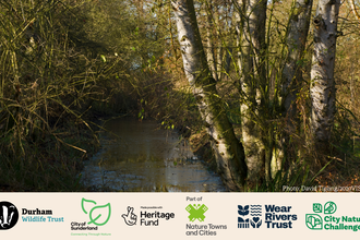 River burn with project logos