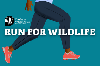 Illustrated banner showing a person running, with focus on their legs in dark blue trousers and coral trainers against a teal background. The text reads “Run for Wildlife” beside the Durham Wildlife Trust logo and tagline “From Tees to Tyne.”