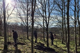 Four people walk through a sunlit woodland of slender, leafless trees. The low morning sun casts long shadows across the grassy ground, and the sky is bright blue with scattered clouds. The group appears to be exploring or surveying the area, surrounded by natural light and open countryside in the distance.