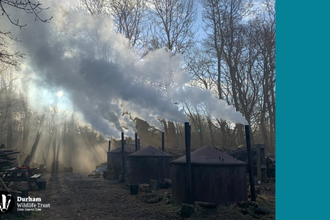 A woodland scene with several round, metal charcoal kilns releasing thick white smoke through tall chimneys. Sunlight filters through the haze and bare trees, casting long shadows across the forest floor. Stacks of logs sit nearby, and the Durham Wildlife Trust logo appears in the lower left corner, marking the image as part of a conservation or traditional woodland management project.