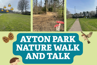 Ayton Park Event Poster