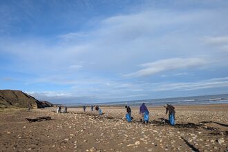 A group of people scattered across a wide, pebbly beach under a bright blue sky, each carrying blue rubbish bags and using litter pickers for a beach clean-up. Low grassy cliffs rise on the left, while gentle waves roll in from the right. The scene feels calm and purposeful, with volunteers tidying the shoreline on a clear day.