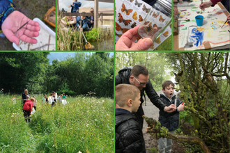 A collage of six photos showing outdoor learning and nature activities. Top row: a hand holding a pond insect over a tray, people sampling water at a pond, a hand displaying a butterfly ID sheet, and a child painting at a table. Bottom row: children walking through a wildflower meadow, and an adult helping two boys examine plants or insects in a wooded area. The images highlight hands‑on exploration, art, and wildlife education in natural settings.