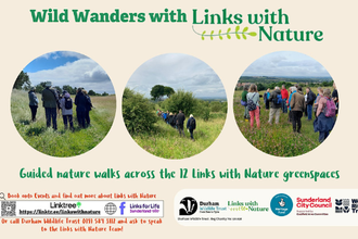 Links with Nature: Wild Wanders