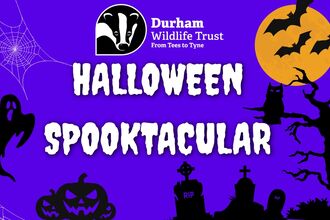 Halloween Spooktacular