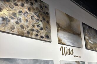 A gallery wall displays several square and rectangular paintings from the exhibition “Wild” by Victoria Turner. The artworks feature earthy tones of gold, brown, grey, and white, depicting birds and natural landscapes. The left painting shows birds among dark oval burrows on textured ground; the central and right pieces portray misty wetlands with birds flying over water. The lighting highlights the paintings’ layered textures and atmospheric brushwork.