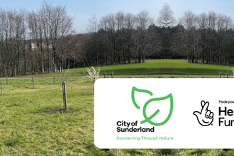 CTN Princess Anne Park banner image