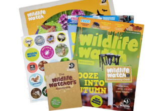 Image of the Family Membership pack received when joining Durham Wildlife Trust