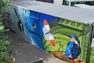 A long metal container painted with a vibrant wildlife mural. The artwork features a black‑and‑white bird in flight on the left, a robin perched on a branch in the centre, and a large butterfly with white wings and orange tips near a bright blue‑and‑orange kingfisher on the right. The backgrounds shift from grey to blue to green leaf patterns, creating a lively nature scene. The container sits outdoors beside greenery and parked vans.