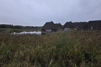 A group of thatched‑roof cabins sits beside a calm lake under an overcast sky. Tall reeds and grasses fill the foreground, framing the water and rustic buildings. String lights add a faint warm glow along the huts, creating a tranquil, natural scene.