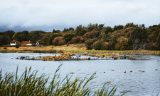 View across the lake at Low Barns