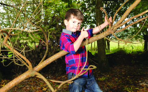 Ruaridh plays guitar on a tree branch