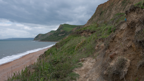 Maritime cliff