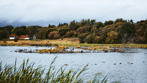 View across the lake at Low Barns