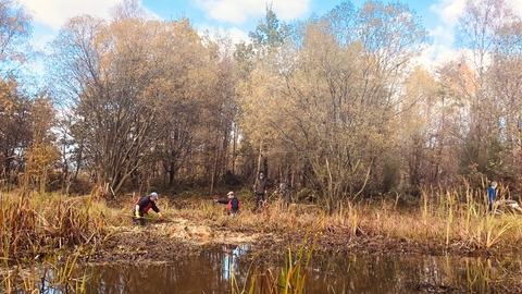 volunteers doing work in pond